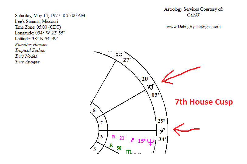 capricorn in 7th house vedic astrology